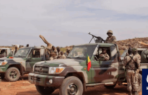 Malian Army Eliminates Dozens of Terrorists and Destroys Bases in Series of Security Operations