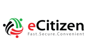 MPs summon Treasury PS Kiptoo after Ksh. 44B go missing in e-citizen