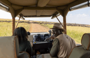 Ruto launches 2025 Wildebeest Migration in Maasai Mara as Kenya intensifies campaign to boost tourist numbers