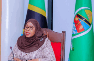 Tanzania bans foreigners from running small businesses