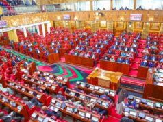 Without CDF, Parliament Will Bite