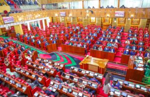 Without CDF, Parliament Will Bite