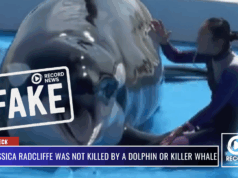 No, Jessica Radcliffe Was Not Killed by a Dolphin or Killer Whale