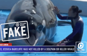 No, Jessica Radcliffe Was Not Killed by a Dolphin or Killer Whale