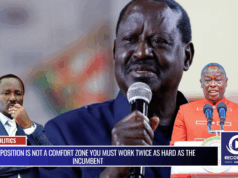 The Opposition is Not a Comfort Zone You Must Work Twice as Hard as the Incumbent