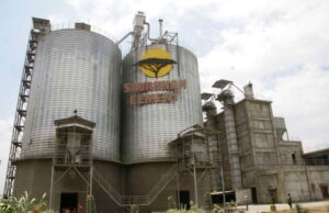 Flour Mill Tycoons Acquire Bankrupt Savannah Cement for Sh3.8 Billion Savannah Cement