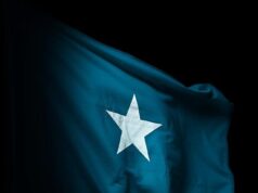 Somalis Thrive Abroad but Struggle at Home: A Nation United Everywhere Except Somalia