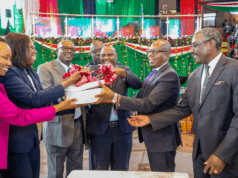 Privatise the State Corporations Worth KES 10 Trillion and Invest in Regulation