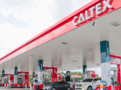Registrar of Companies Dissolves Caltex House Service Station and Bora Motors Limited