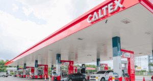 Registrar of Companies Dissolves Caltex House Service Station and Bora Motors Limited